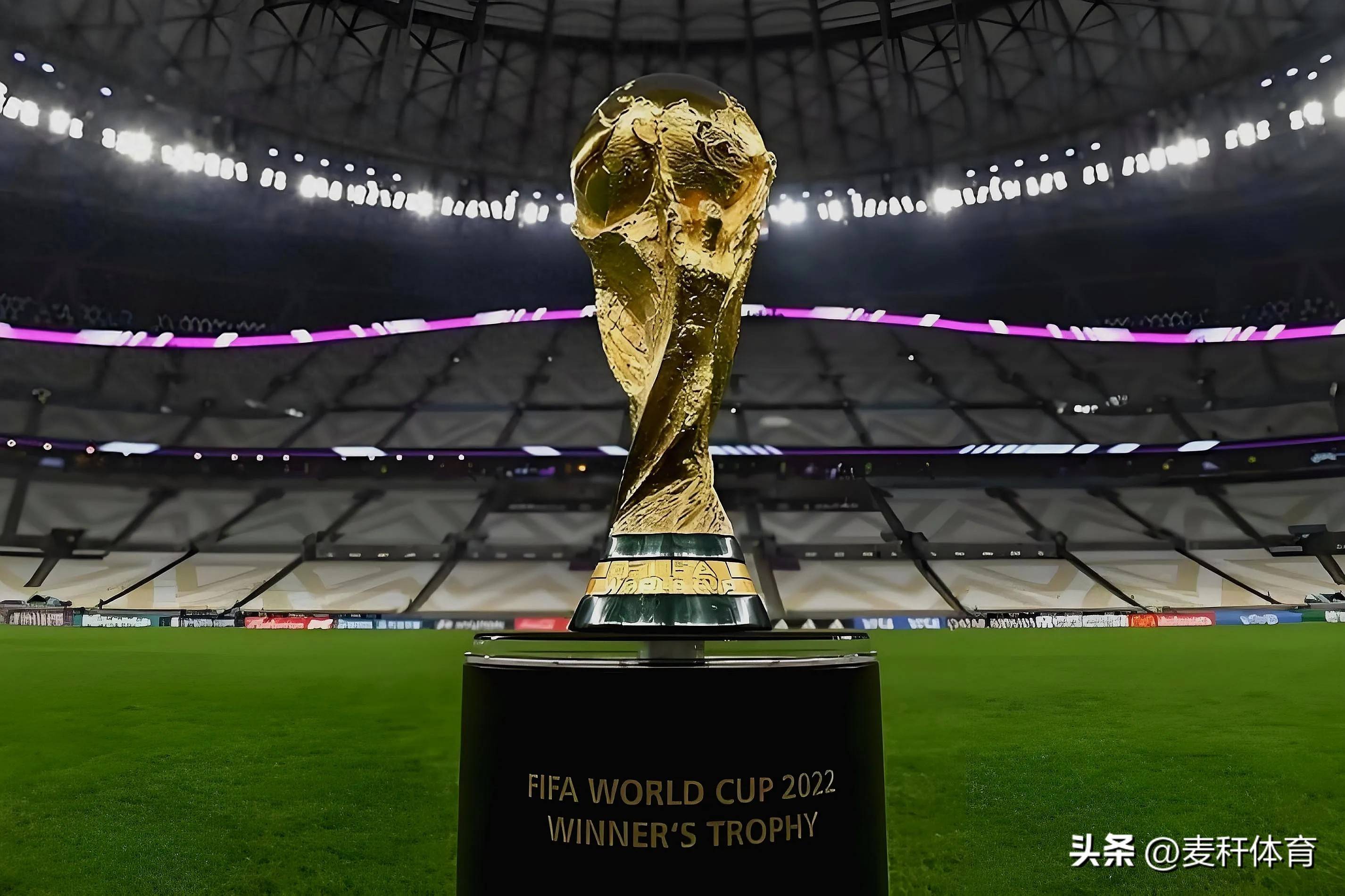 德约科维奇 德约科维奇