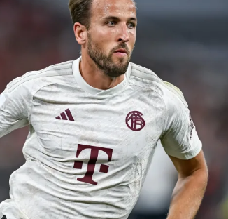 升实力的潜 升实力的潜