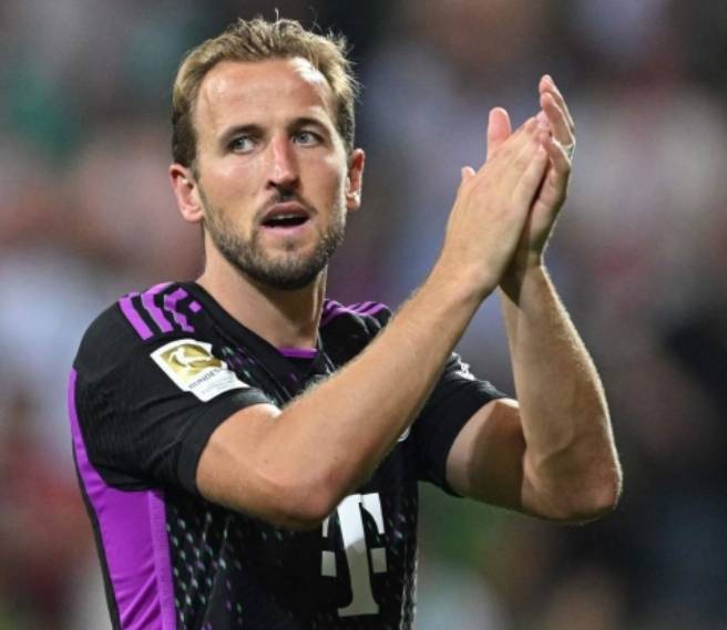 的年轻运动 的年轻运动