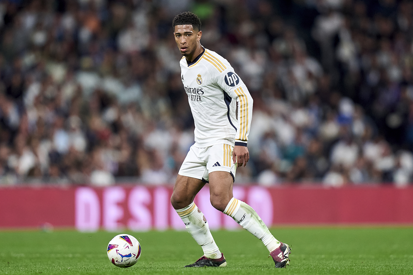 的广泛资源 的广泛资源